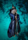 Halloween Witch Royalty Free Stock Photo