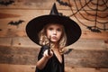 Halloween Witch concept - little witch child enjoy playing with magic wand. over bat and spider web background. Royalty Free Stock Photo