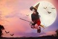 Halloween witch flying broom. Huge moon and bat Royalty Free Stock Photo