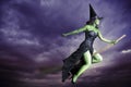 Halloween witch flying on broomstick Royalty Free Stock Photo