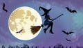 Halloween witch flying on a broomstick on the full moon background