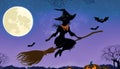 Halloween witch flying on a broomstick on the full moon background