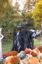 Halloween witch scarecrow and pumpkin decoration. Yard photo zone ideas Royalty Free Stock Photo