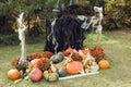 Halloween witch scarecrow and pumpkin decoration. Yard photo zone ideas Royalty Free Stock Photo