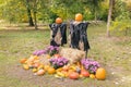 Halloween witch scarecrow with pumpkin head decoration for fall, copy space