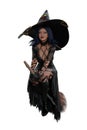 Halloween witch in sexy black costume with large pointed hat riding a magic broomstick. Isolated 3D rendering