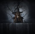 Halloween mystery concept Royalty Free Stock Photo