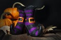 Halloween Witches Booties Royalty Free Stock Photo