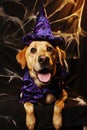 Halloween Wizard Dog