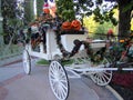 Hallowen Horse-drawn vehicle