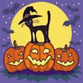 Hallowin Cat on Pumpkin. Royalty Free Stock Photo