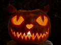 Hallowin face in The night Time with internal Light. Royalty Free Stock Photo