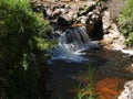 Halls Falls, Pyengana, Tasmania