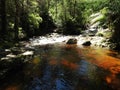 Halls Falls, Pyengana, Tasmania