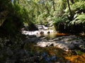 Halls Falls, Pyengana, Tasmania