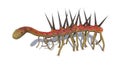 Hallucigenia, prehistoric aquatic animal from the Cambrian Period isolated on white background 3d science illustration