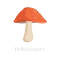 Hallucinogenic mushroom with a red cap. Illustration of a natural drug