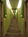 Hallway chaminggreen carpet door woods