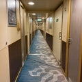 A hallway on a cruise ship with blue geometric patterned carpet and cream colored walls