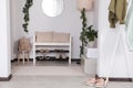 Hallway interior with stylish shoe storage bench and houseplants