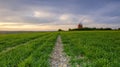 Halnaker windmill in the South Downs National Park, West Sussex, UK Royalty Free Stock Photo