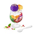 Halo Halo or traditional shaved ice, milk with various fruits and sweet beans.Filipino traditional dessert vector Royalty Free Stock Photo