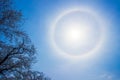 Sun halo in the sky over Hinokinai River,Kakunodate,Akita,Tohoku,Japan during Kakunodate Cherry Blossom Festival 2018