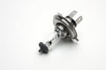 Halogen bulb for a car on a white background Royalty Free Stock Photo
