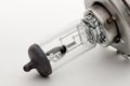 Halogen bulb for a car on a white background Royalty Free Stock Photo