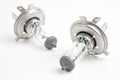 Halogen bulb for a car on a white background Royalty Free Stock Photo