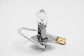 Halogen bulb for a car on a white background Royalty Free Stock Photo