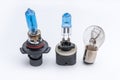 Halogen car lamp for repair car isolate on white. Automobile electric lamp for headlight