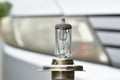 Halogen light bulb vehicle spare parts on car head lamp background Royalty Free Stock Photo