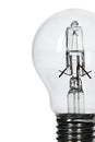 Halogen light bulb, white background. Royalty Free Stock Photo