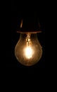 Halogen Savings Light Bulb in the Dark Royalty Free Stock Photo