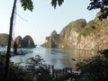 Halong Bay Vietnam - some boats, tree foreground