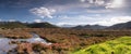 Halophyte Vegetation in the marshes of Saint Florent, Corsica