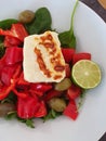 Haloumi salad Royalty Free Stock Photo