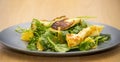Haloumi salad Royalty Free Stock Photo