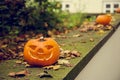 Haloween Pumpkin Royalty Free Stock Photo