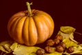 Haloween pumpkin with leafs and hazelnuts Royalty Free Stock Photo