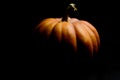 Haloween pumpkin with leafs hazelnuts Royalty Free Stock Photo