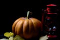 Haloween pumpkin with leafs hazelnuts Royalty Free Stock Photo
