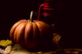 Haloween pumpkin with leafs hazelnuts Royalty Free Stock Photo