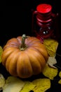 Haloween pumpkin with leafs hazelnuts Royalty Free Stock Photo