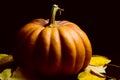 Haloween pumpkin with leafs hazelnuts Royalty Free Stock Photo
