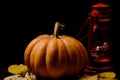 Haloween pumpkin with leafs hazelnuts Royalty Free Stock Photo