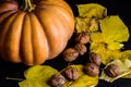Haloween pumpkin with leafs hazelnuts Royalty Free Stock Photo