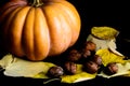 Haloween pumpkin with leafs hazelnuts Royalty Free Stock Photo