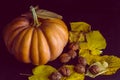 Haloween pumpkin with leafs hazelnuts Royalty Free Stock Photo